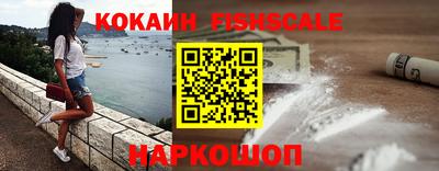 гидра Брянск