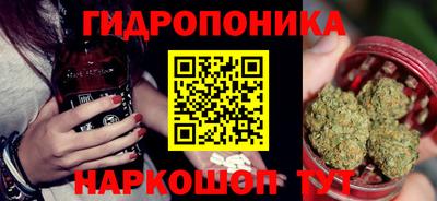 гидра Брянск