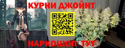 гидра Брянск