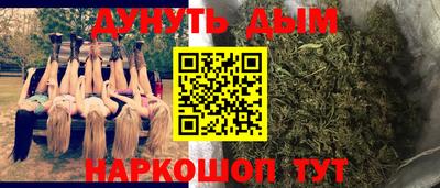 гидра Брянск