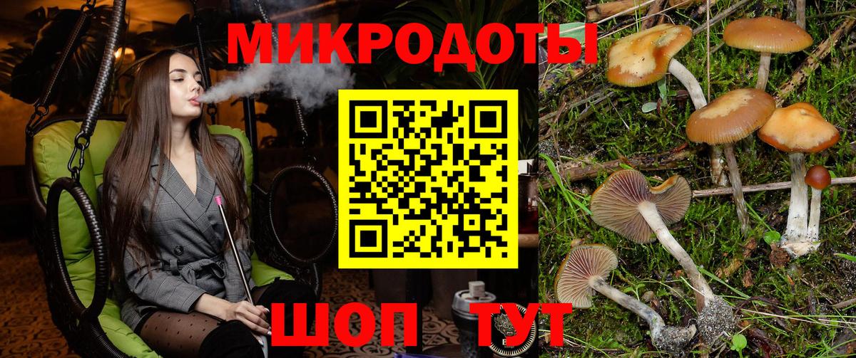 Псилоцибиновые грибы Magic Shrooms  Псилоцибиновые грибы прущие грибы  Гагарин  купить  сайты  Вход с VPN 